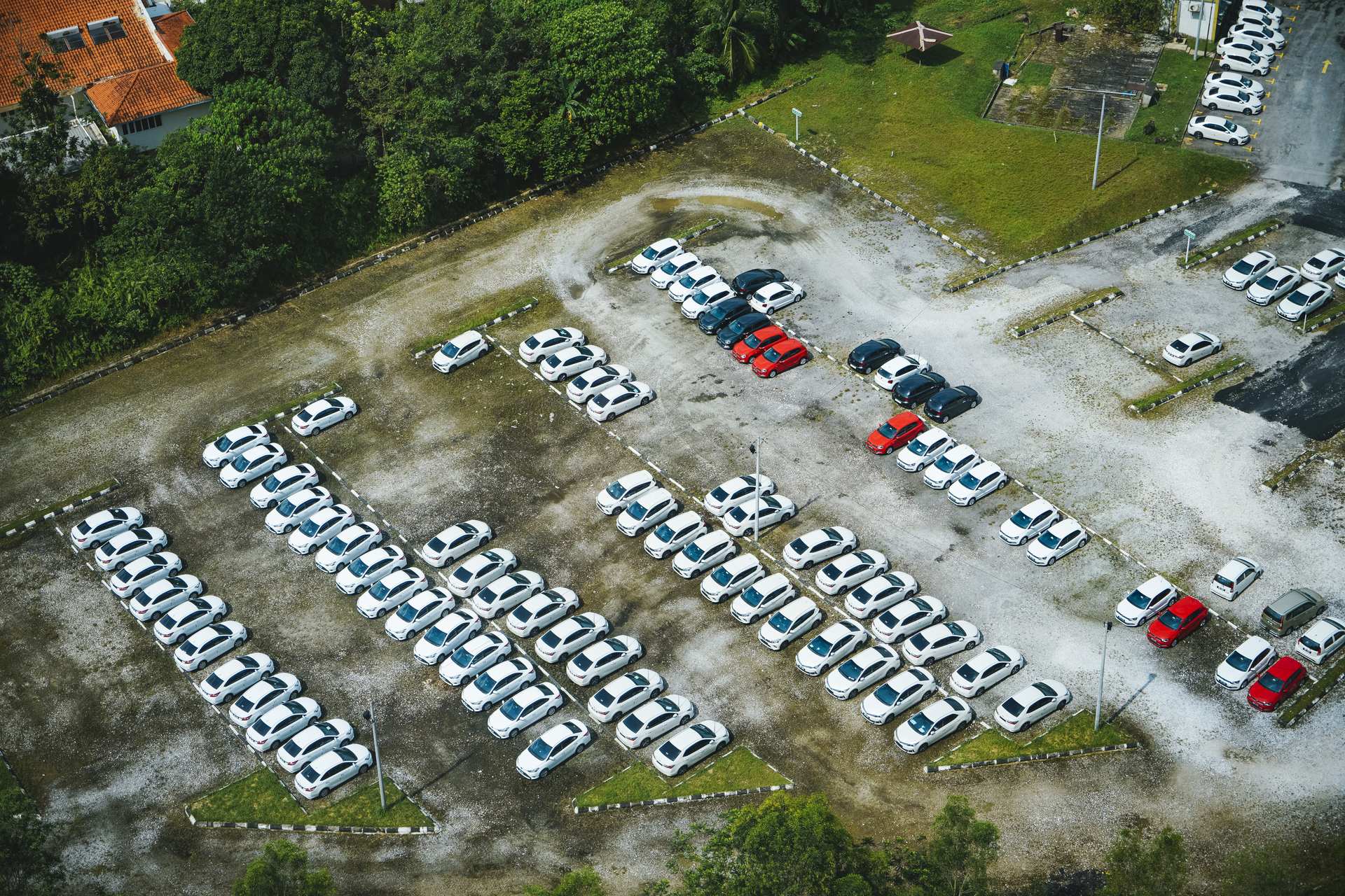 区画された駐車場に白い車を中心に複数の乗用車が並ぶ俯瞰の光景